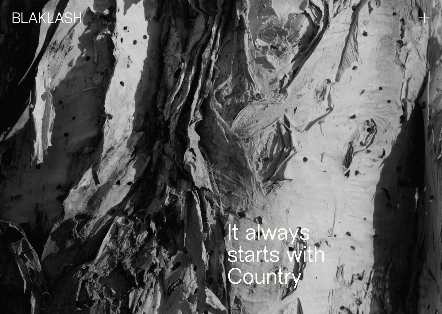 Blaklash project preview